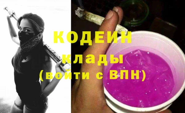хмурый Бородино