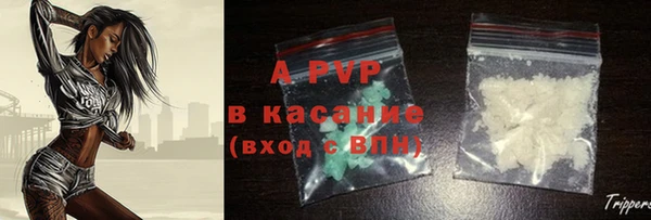 хмурый Бородино
