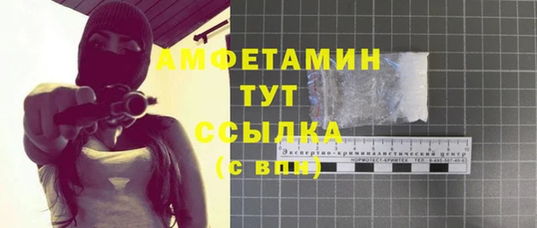хмурый Бородино