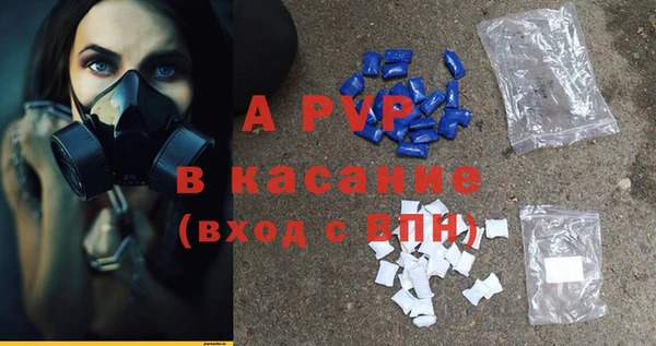 хмурый Бородино