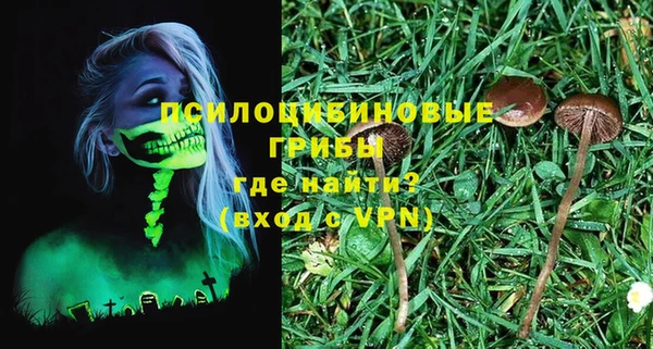 Альфа ПВП Бугульма