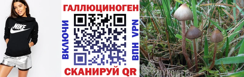 Псилоцибиновые грибы ЛСД  Козьмодемьянск 